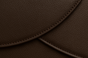 Detalhe Couro Premium